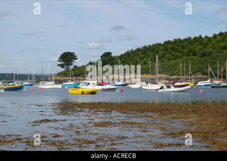 Yachten vor Anker in einer Bucht abseits der River Fal in der Nähe von Roseland in Cornwall Stockfoto