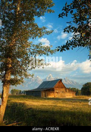 Historische Scheune auf Mornon Zeile im Grand Teton National Park Stockfoto