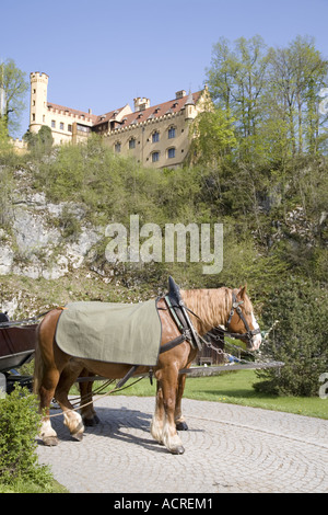 Gezeichnete Kutschenfahrt Schloss Hohenschwangau Schloss, Bayern Stockfoto