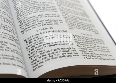 Psalm 23 der Herr ist mein Hirte Stockfoto