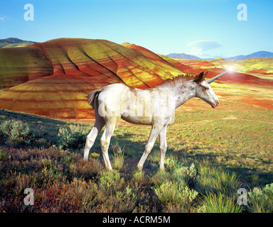 Das Einhorn ist ein legendäres Tier, das im Laufe der Geschichte und davor als Pferdetier mit einem einzigen Horn beschrieben wurde, das aus seinem Kopf hervorragt. Stockfoto