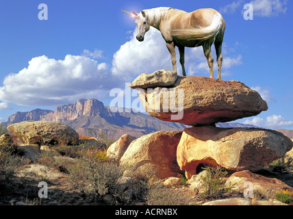 Das Einhorn ist ein legendäres Tier, das im Laufe der Geschichte und davor als Pferdetier mit einem einzigen Horn beschrieben wurde, das aus seinem Kopf hervorragt. Stockfoto
