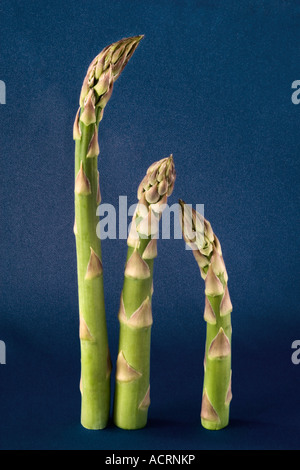 Drei Asparagus Upright Food still Life Stockfoto