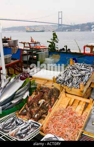 Fischen Sie auf dem Display in der Beylerbeyi-Istanbul-Türkei Stockfoto