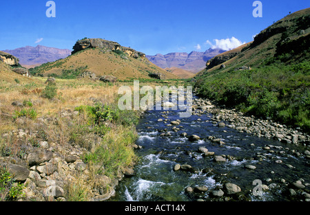 Bushmans River Böschung im Hintergrund Riesen Burg Spiel Reserve Drakensberg Kwazulu Natal in Südafrika Stockfoto