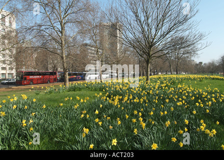 Park Lane Hydepark langen Reihe von kontinentalen touristische Busse geparkt in Erwartung der Passagiere zurück Stockfoto