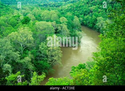 Biegen Sie in Green River und neuer Frühling Laub der umgebenden Wald Mammoth Cave National Park Kentucky Stockfoto