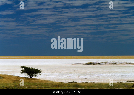 Teil des riesigen Salzpfanne der Etosha-Namibia Stockfoto