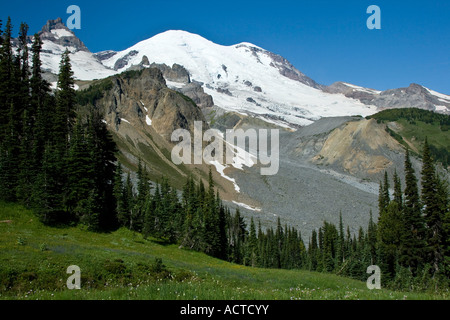 Wiese, unterstützt von Mount Rainier Berg Washington State USA Stockfoto