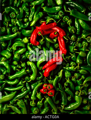 Paprika Fragezeichen über rote und grüne Paprika Stockfoto