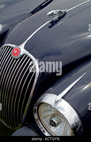 Jaguar XK50 Sportwagen Stockfoto