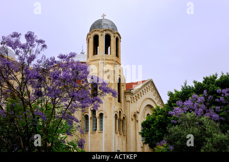 Blüte blau Jacaranda Bäume Jacaranda Mimosifolia in der Nähe von Agia Trias orthodoxe Kirche Stockfoto