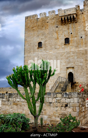 Großen Kaktus vor Kolossi Burg mittelalterliche Festung Bereich Limassol Zypern Stockfoto