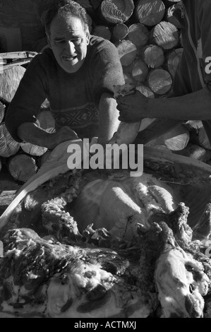 Die jährliche Schlachten des Schweins getan die traditionelle Art Pyrenäen Spanien Stockfoto