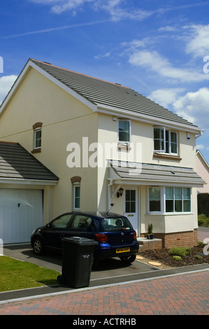 Neue Eigenschaft bei Chudleigh Knighton, Dartmoor National Park, Devon, UK. Stockfoto