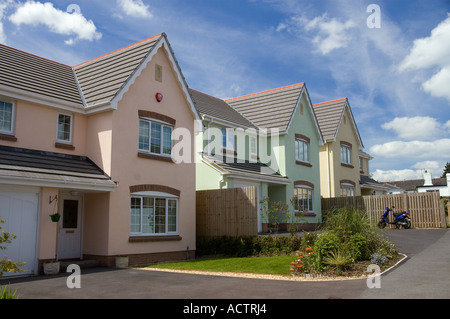 Neue Eigenschaft bei Chudleigh Knighton, Dartmoor National Park, Devon, UK. Stockfoto