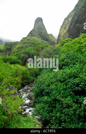 Die Nadel und den Stream an Iao Valley State Park Insel Maui Hawaii Stockfoto