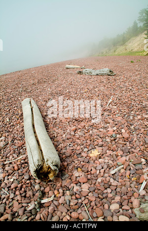 PROTOKOLLE VON HOLZ AUF DEN KIESSTRAND LIEGEN GEWASCHEN DURCH DAS MEERWASSER Stockfoto