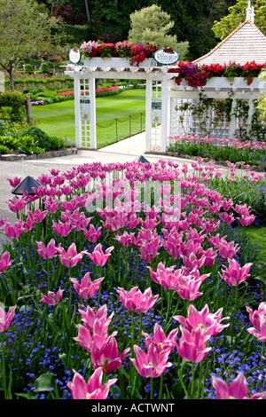 BEAUTIFUL GATE IN BUCHART GARDENS SURROUNDED BY WIDE VARIETY OF TULIPS AND OTHER FLOWERS Stockfoto