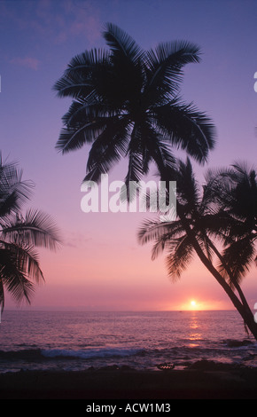 Tropische Palmen und Sonnenuntergang am Strand von Waikiki, Hawaii, USA. Stockfoto