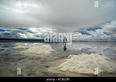 Bolivianischen Altiplano Landschaft der Anden Bolivien Stockfoto