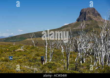 Australien Tasmanien Cradle Mountain Lake St. Clair National Park Stockfoto