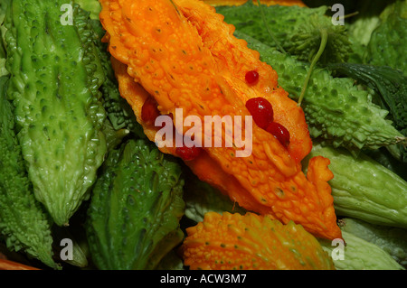 Stapel von tropischen Momordica charantia Frucht bekannt als Bittermelone Bitterer Kürbis Bitter Squash oder Balsambirne Stockfoto