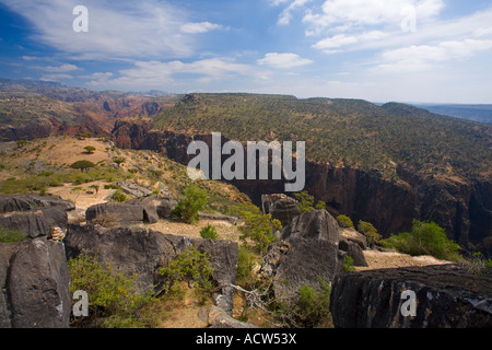 Canyon auf der Dik Som Plateau Socotra Island-Jemen Stockfoto