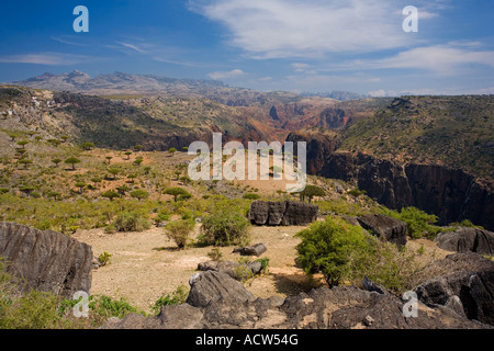 Canyon auf der Dik Som Plateau Socotra Island-Jemen Stockfoto