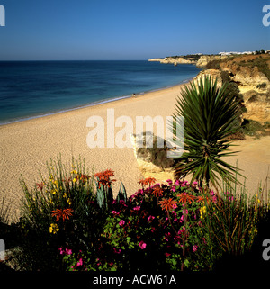 PORTUGAL ALGARVE ARMACO DE PERA BEACH BLUMEN UND ATLANTIK Stockfoto