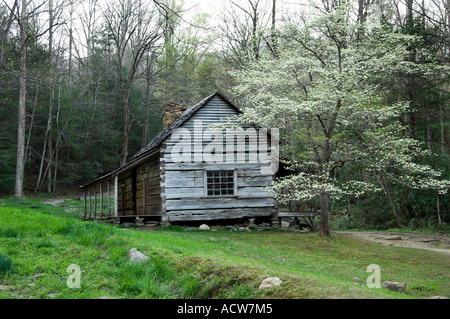 Noah Bud Ogle Ort im Frühjahr neben LeConte Creek in den Great Smoky Mountain National Park-USA Stockfoto