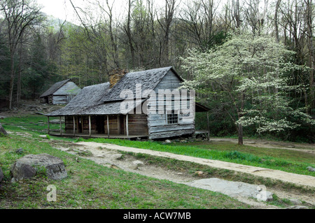 Noah Bud Ogle Ort im Frühjahr neben LeConte Creek in den Great Smoky Mountain National Park-USA Stockfoto