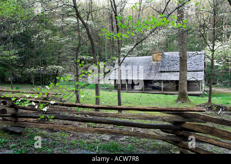 Noah Bud Ogle Ort im Frühjahr neben LeConte Creek in den Great Smoky Mountain National Park-USA Stockfoto