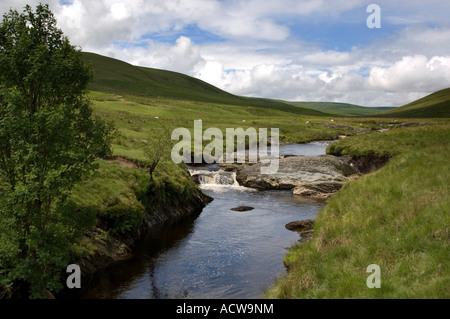 Elan-Tal in der Nähe von Rhayader Powys Mitte Wales auf einem ruhigen Sommernachmittag, plätschernde Bach Fluss Bach Stockfoto