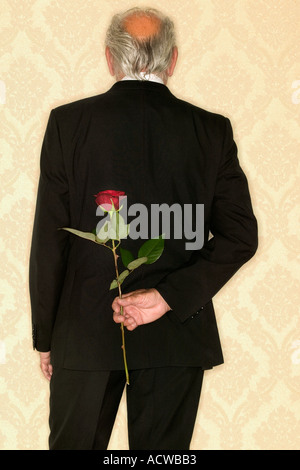 Senior woman Versteck rote rose Stockfoto