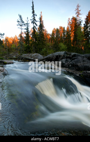 Schönen Sommerabend am Fluss Svinna in Våler Kommune, Østfold, Norwegen. Der Fluss ist ein Teil des Wassers, das System namens Morsavassdraget. Stockfoto