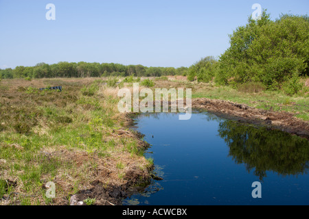 Pool am Hochmoor in Heysham Moss Stockfoto