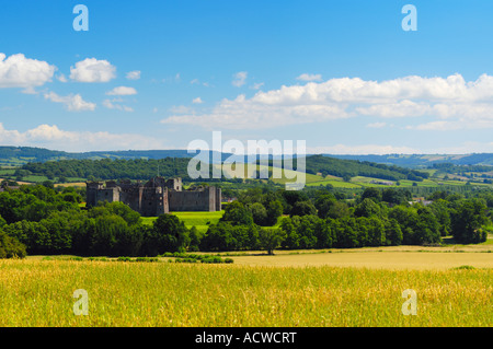 Das 15. Jahrhundert die Ruine von Raglan Schloss über ein weizenfeld Raglan in Monmouthshire, Wales an einem sonnigen Sommertag gesehen. Stockfoto