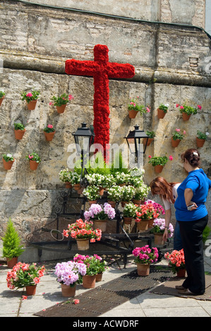 Die drei Tage des Cruces de Mayo (Kreuze des Mai) starten Sie eine Monat lang Nonstop-Fiesta in Córdoba, Andalusien, Spanien Stockfoto