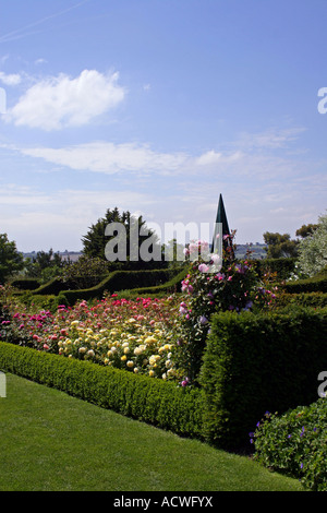 Gartenbau. english rose Garten im Sommer. RHS Hyde Hall Essex. Stockfoto