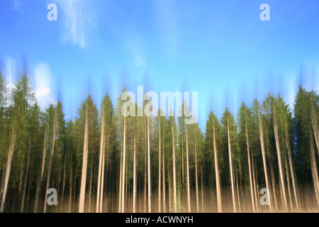 Reise-Fotografie der Waldlandschaft in der Nähe von Gedinne in den Ardennen Ardenne, Wallonien, Belgien. Slow-Shutter mit Bewegung Stockfoto