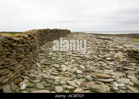 Bestandteil der 12-Meilen Schafe Trockenmauer, die rund um die Shireline auf North Ronaldsay Orkneyinseln Schottland UK läuft Stockfoto