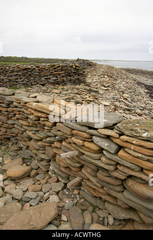 Bestandteil der 12-Meilen Schafe Trockenmauer, die rund um die Shireline auf North Ronaldsay Orkneyinseln Schottland UK läuft Stockfoto