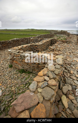 Bestandteil der 12-Meilen Schafe Trockenmauer, die rund um die Shireline auf North Ronaldsay Orkneyinseln Schottland UK läuft Stockfoto