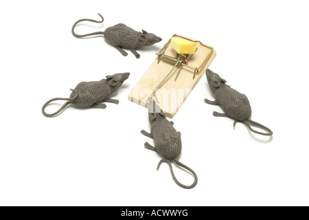 Spielzeug-Mäuse und Trap Stockfoto