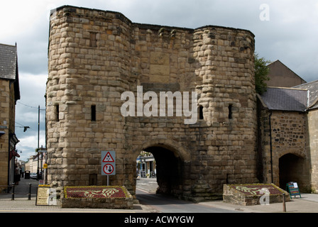 "Galerie-Turm" in Alnwick in Northumberland "Great Britain" Stockfoto