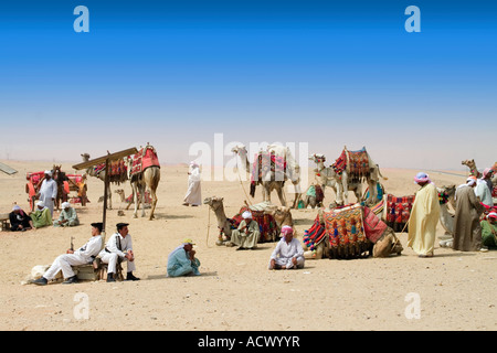Ägypten, Tempel, Horus, Gottesdienst, Statue, Skulptur, alt, Gottheit, Kultur, Leichenhalle, Pharao Hatschepsut, achtzehnte Dynastie, Kartusche, Kamel, Beduinen Stockfoto
