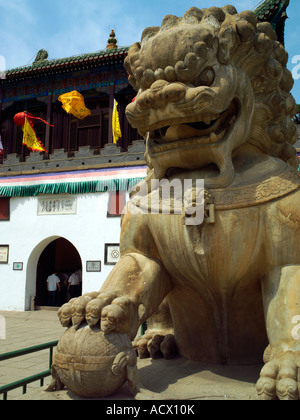 Ein wilder Löwe bewacht den Eingang zum Putuozongcheng-Tempel in Chengde, China Stockfoto