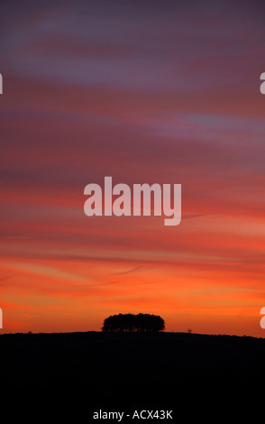 Sonnenuntergang über der Ashdown Forest, East Sussex Stockfoto