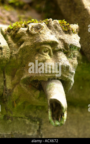 EIN WASSERSPEIER ALS EINEM REGEN-WASSER-AUSLAUF AN LITTLEDEAN HALL IN DEN FOREST OF DEAN GLOUCESTERSHIRE UK Stockfoto